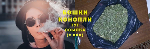 Альфа ПВП Бородино