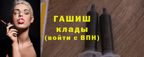 индика Богородск