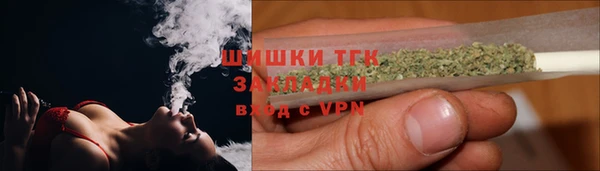 шишки Богданович