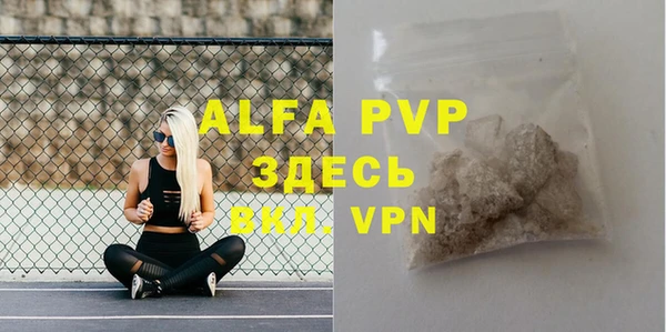 Альфа ПВП Бородино