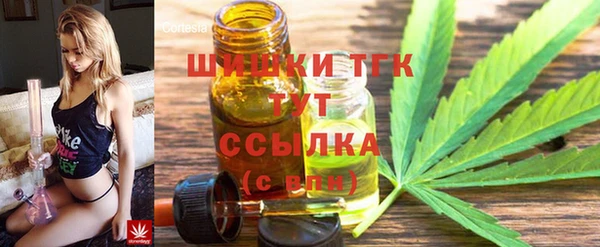 Альфа ПВП Бородино