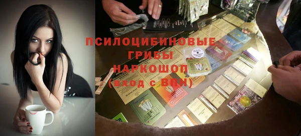 шишки Богданович