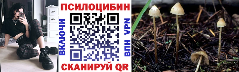 Галлюциногенные грибы Psilocybine cubensis  blacksprut ONION  Тотьма 